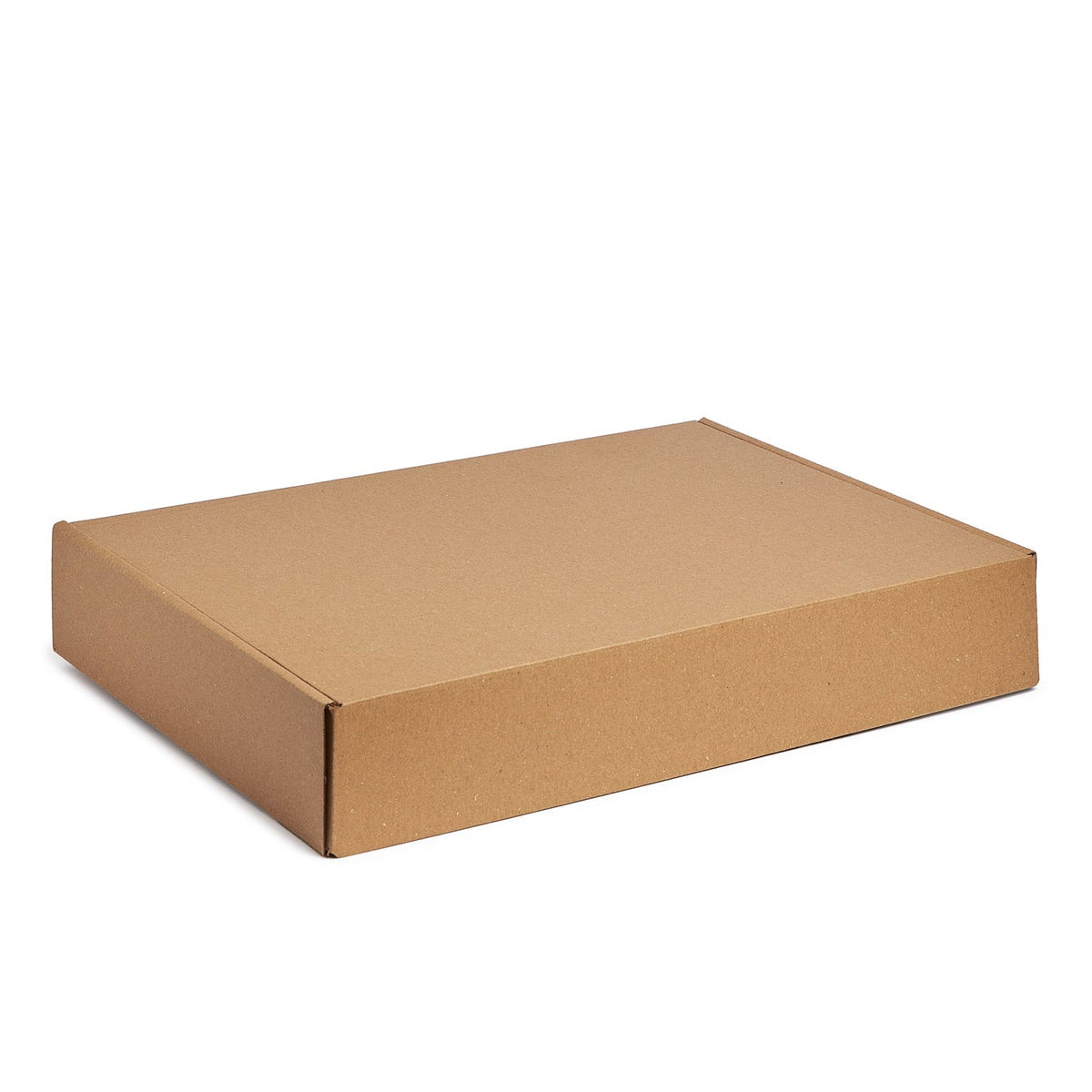 Brown cardboard box on a white background
